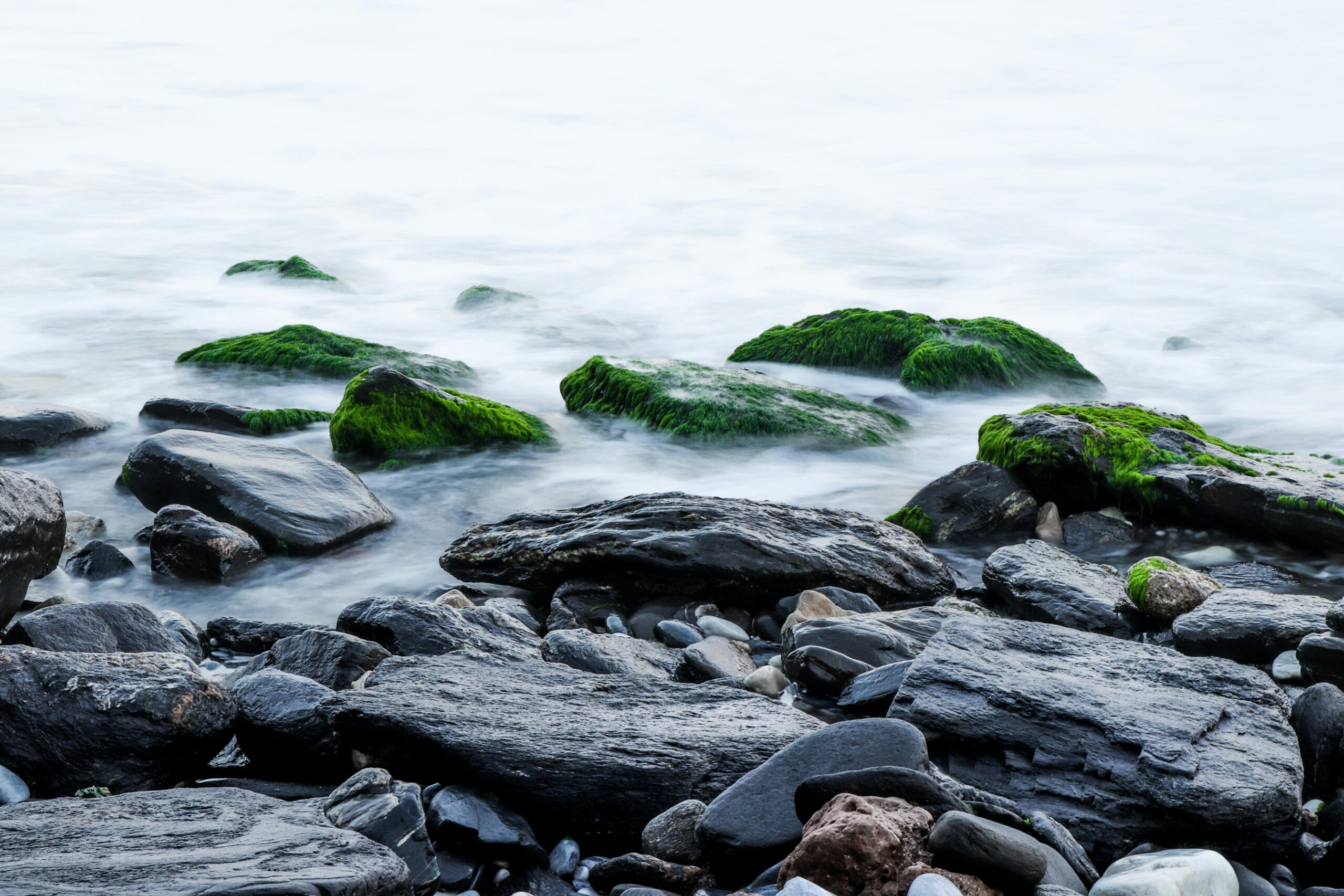Tranquil coastal scene featuring moss-covered rocks and gentle water flow.